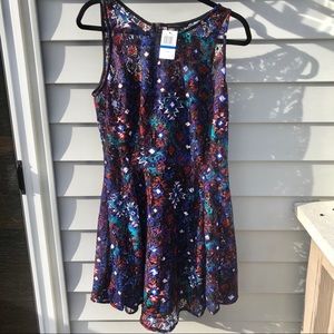 NWT FISHBOWL lace dress